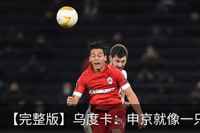 【完整版】乌度卡：申京就像一只斗牛犬 不在乎谁得分只要能赢球