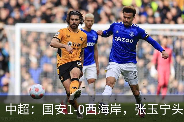 中超：国安1-0西海岸，张玉宁头槌，法比奥伤退