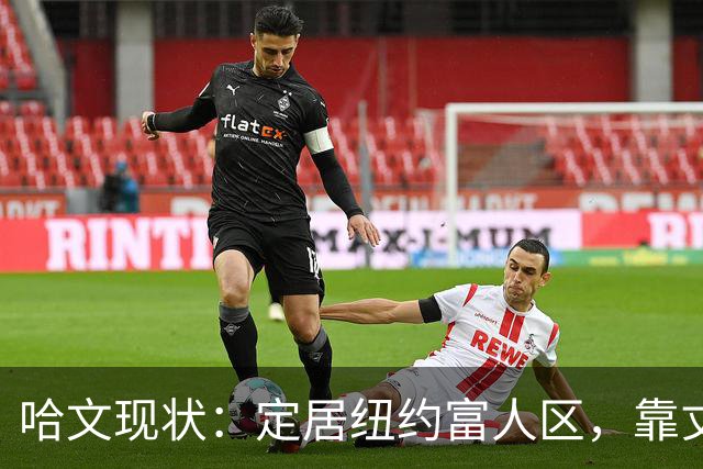 哈文现状：定居纽约富人区，靠丈夫遗产和女儿很潇洒，没有再婚