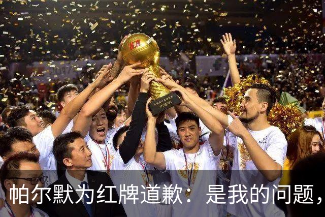 帕尔默为红牌道歉：是我的问题，会吸取教训
