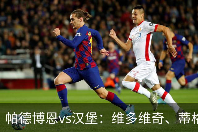 帕德博恩vs汉堡：维多维奇、蒂格斯首发，法比奥-维埃拉、波尔森出战