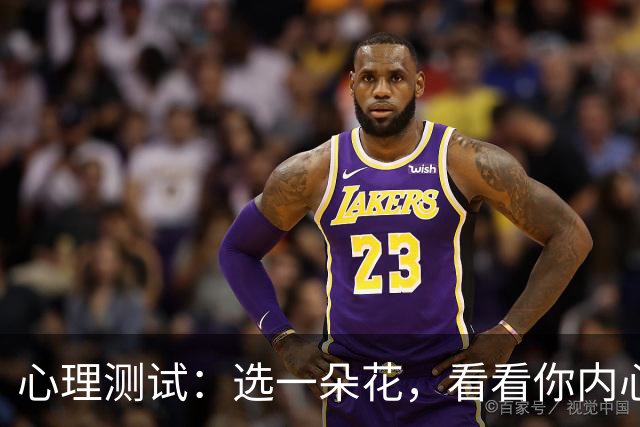 心理测试：选一朵花，看看你内心最放不下的事