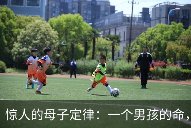 惊人的母子定律：一个男孩的命，看他母亲就知道