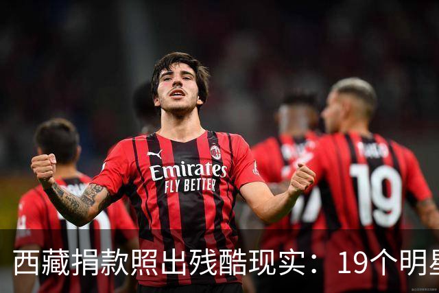 西藏捐款照出残酷现实：19个明星投奔黄晓明，韩红只有一串数字
