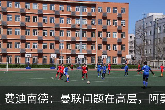 费迪南德：曼联问题在高层，阿莫林、朗尼克和穆帅早已看透