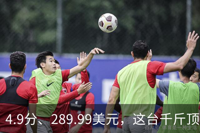 4.9分、289.99美元，这台千斤顶多了白色拉花