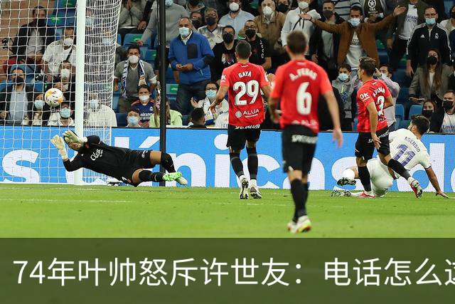 74年叶帅怒斥许世友：电话怎么这么晚才接？许世友：首长，我连滚带爬赶来接的！
